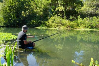 Quest-ce que la pche au coup ? Guide complet pour dbutants et passionns