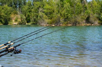 La pche au feeder : guide complet pour les passionns et comptiteurs